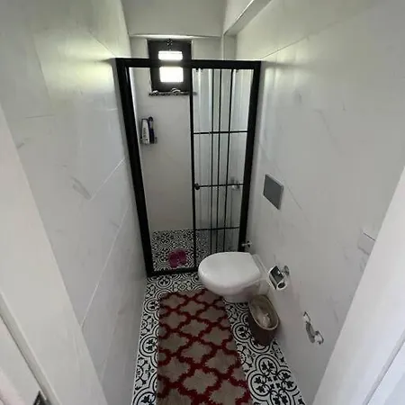 Doganin Icinde Kiralik *